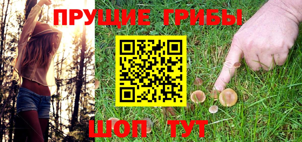 Галлюциногенные грибы мицелий Красный Сулин